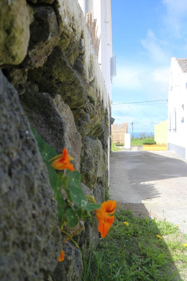 Casa Das Camarinhas Raal 542- Casa Partilhada Ginetes Kültér fotó